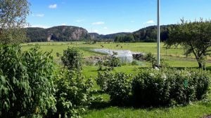 Pallen Ekogård